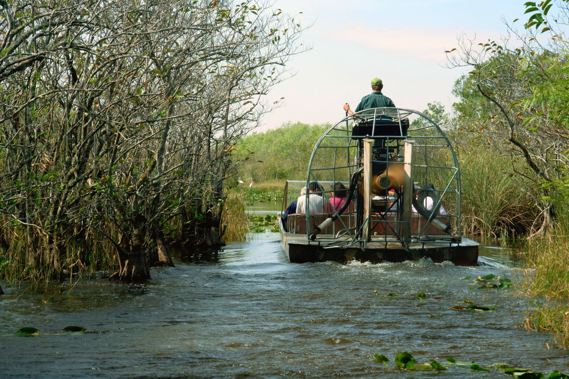 swamp boat tours in baton rouge